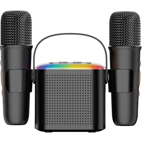 اسپیکر Green Lion 2 in 1 Karaoke