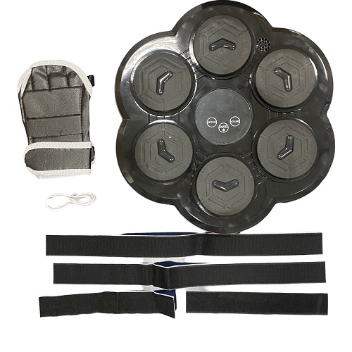 کیسه بوکس دیواری هوشمند موزیکال AKO AB0-1